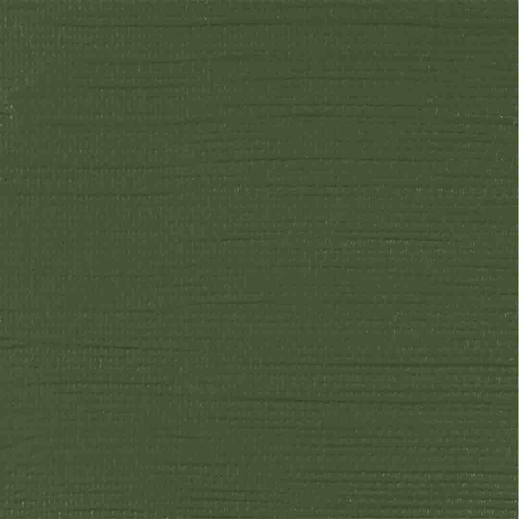 الوان اكريلك من رامبرانت 40مل عالي الجودة يلبي المتطلبات العالية للرسام المعاصر Chromium oxide green 668