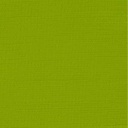 الوان اكريلك من رامبرانت 40مل عالي الجودة يلبي المتطلبات العالية للرسام المعاصر Yellowish green 617