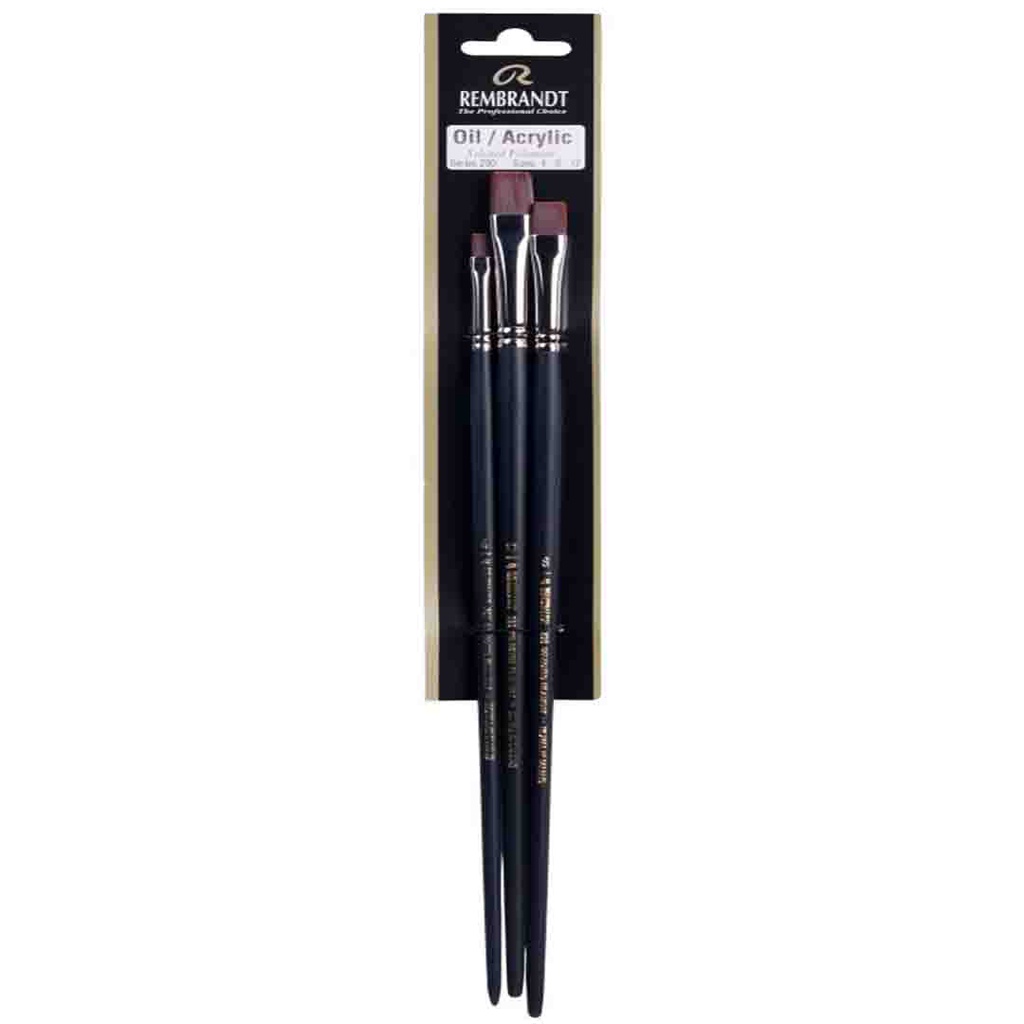 فرش رسم رامبرانت الوان زيتية واكريلك  290/4 8 12 FSC