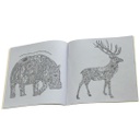 دفتر تلوين N23616