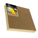 Phoenix un Primed Artist Hard BOARD 2" Thikness