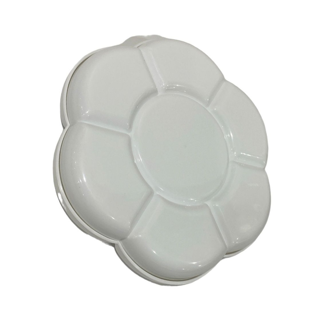 Chrysanthemum palette 2pc 17.5