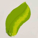 Rembrandt oil colour 40ML PERM.YELLOWISH GRN