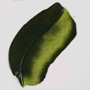Van Gogh Oil color 60ML OLIVE GREEN