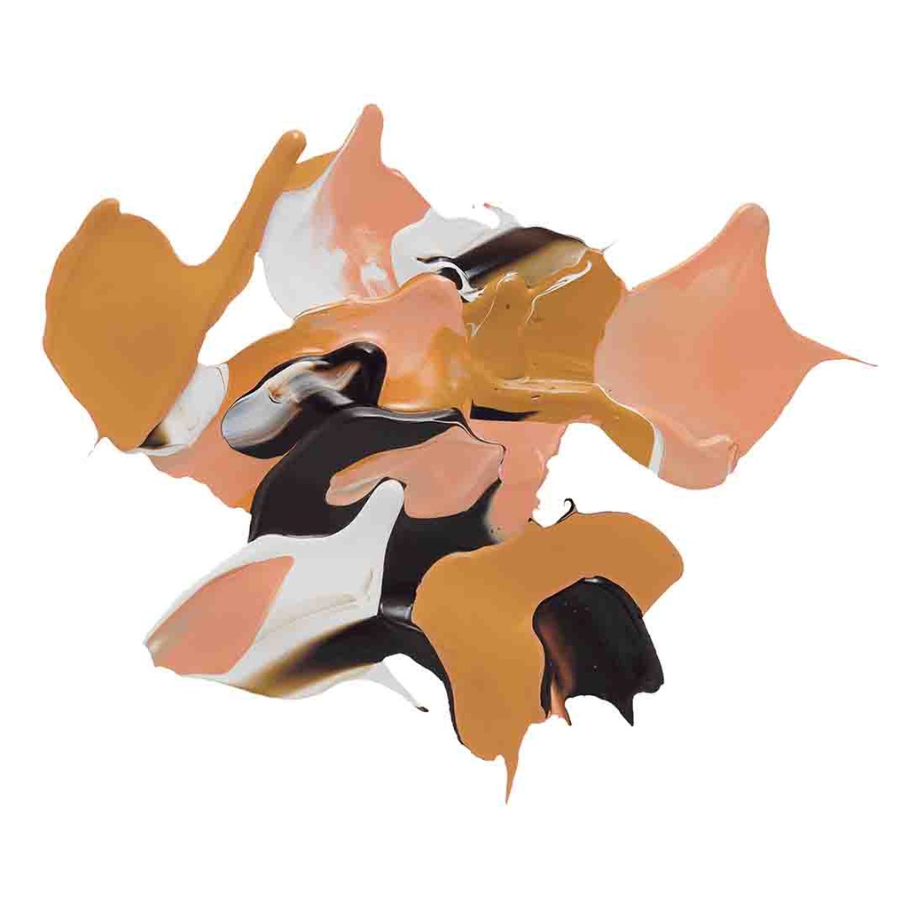 Amsterdam Acrylic color SET 6X20ML PORTRAIT COLORS