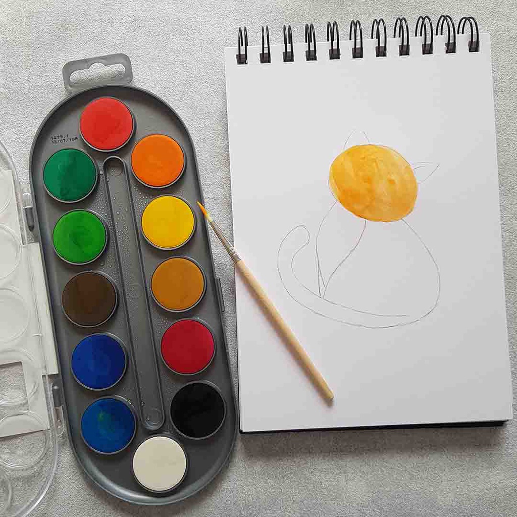 Bruynzeel Water Colour PAINT DOT SET 12