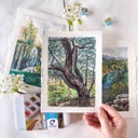 الوان مائية من فان جوخ عبوة الجيب المثالية