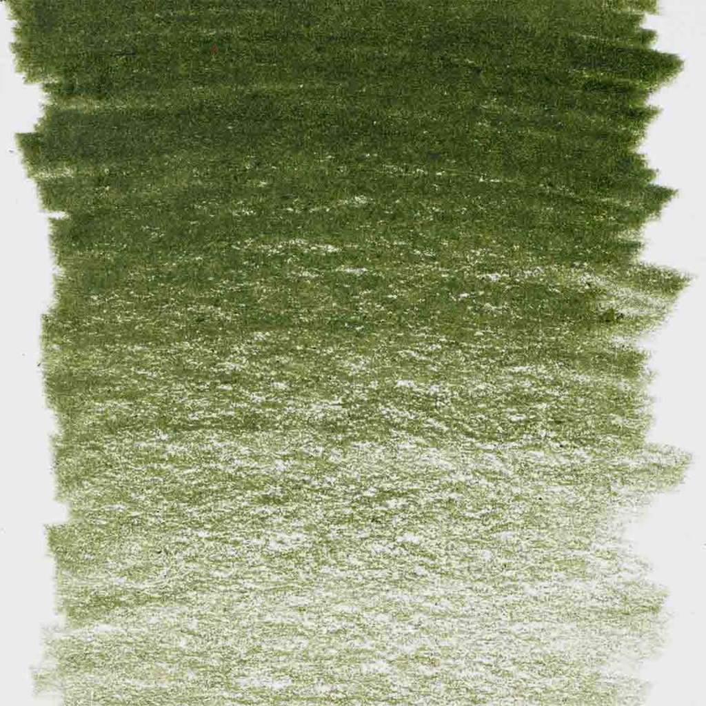 DESIGN Colour Pencil OLIVE GREEN#