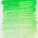 DESIGN Water Colour.Pencil .LT GREEN#