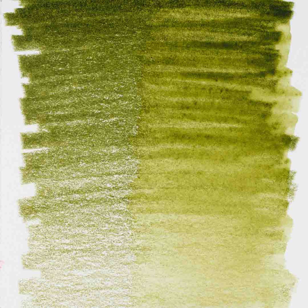 DESIGN Water Colour.Pencil .OLIVE GREEN#