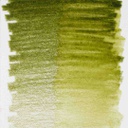 DESIGN Water Colour.Pencil .OLIVE GREEN#