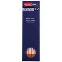 DESIGN Pastel  Pencil BROWN