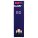 DESIGN Pastel  Pencil DARK OL.GREEN