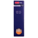 DESIGN Pastel  Pencil MID ORANGE