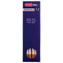 DESIGN Pastel  Pencil NATUR.SIENNA