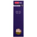 DESIGN Pastel  Pencil OLIVE OCHRE