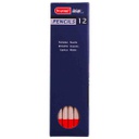 DESIGN Pastel  Pencil PYRROLE RED