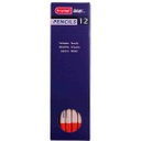 DESIGN Pastel  Pencil SANGUINE