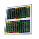 الوان باستيل زيتية 24 لون روكو ROCO