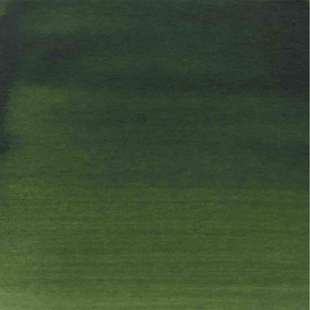 AAC INK 30ML OLIVE GREEN DP