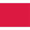 LB FINE OIL COLOUR 150ML TBE BRIGHT RED