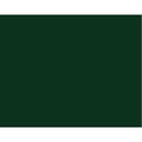 LB FINE OIL COLOUR 150ML TBE VIRIDIAN