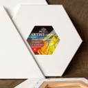 Phoenix Hexagon  Stretched Canvas   100% COTOON 3/4" Thikness, STAPLEon the back 30X30CM