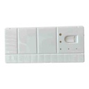 Phoenix Plastic Paette