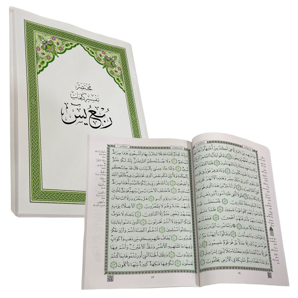 مختصر تفسير كلمات ربع يس