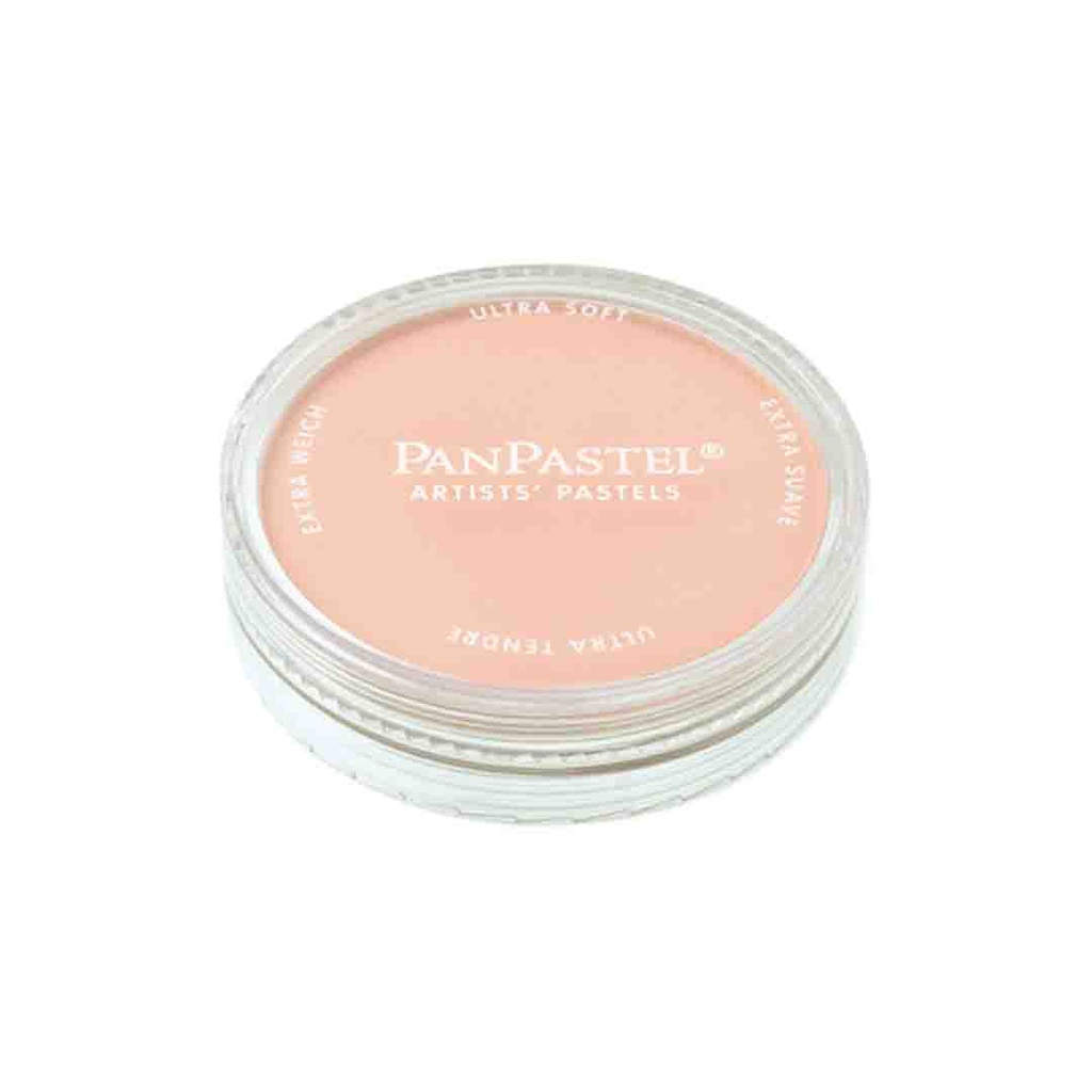 الوان بان باستيل مفرد امريكي PAN PASTEL