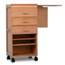 Matisse workstation Dimension: 18" wideX 15.5" deepX 35.5" height