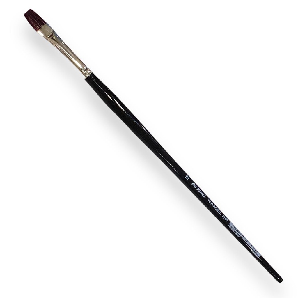 TOP-ACRYL BRUSH Flat anthr. esagonal handle