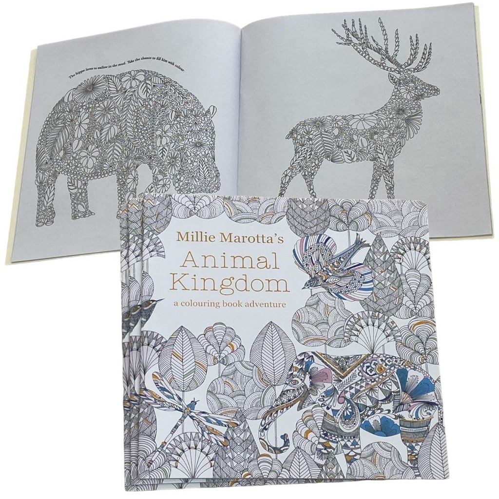 دفتر تلوين N23616