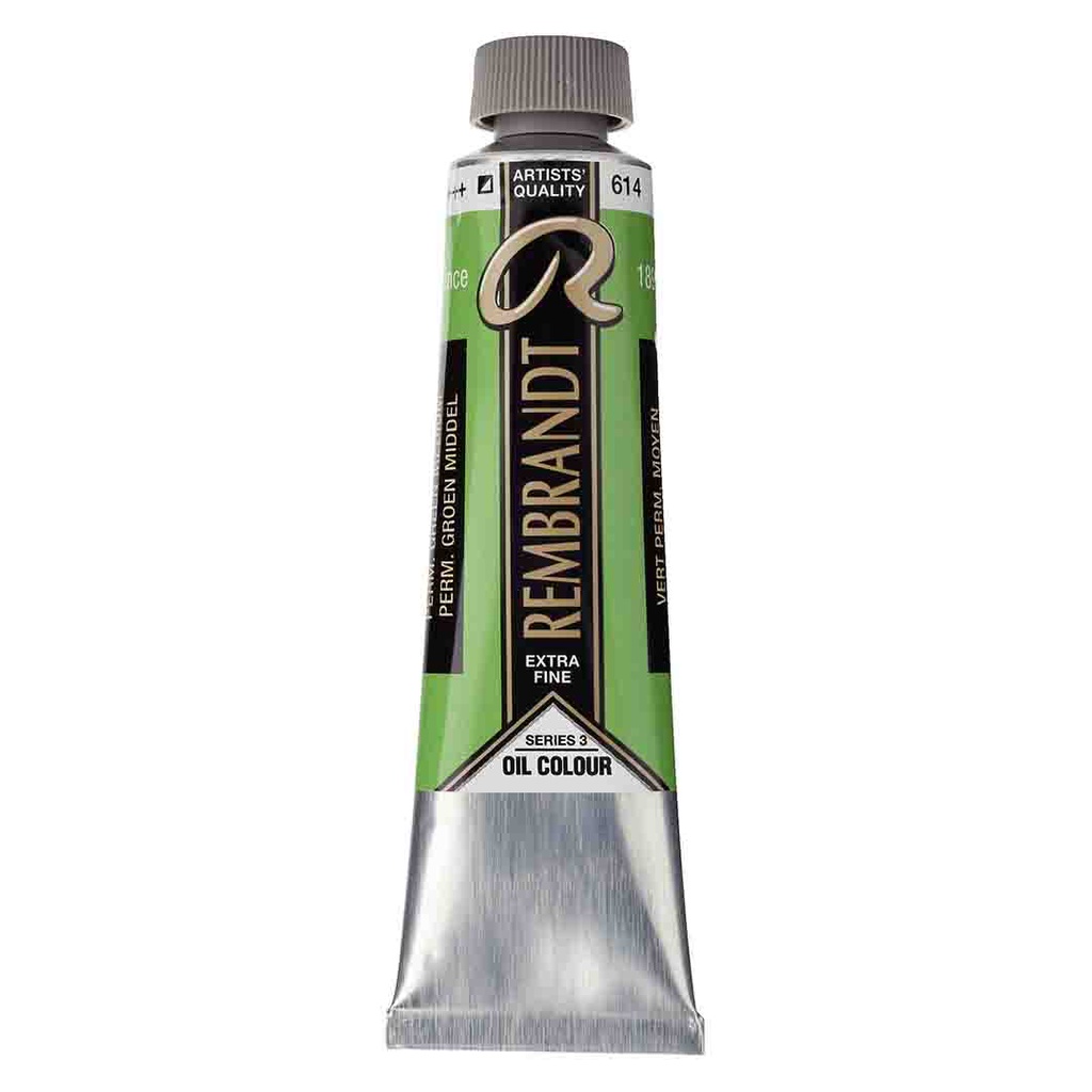 Rembrandt oil colour 40ML PERM.GREEN MED