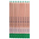 DESIGN Pastel  Pencil FRESH GREEN