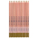 DESIGN Pastel  Pencil OLIVE OCHRE