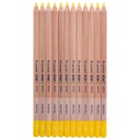 DESIGN Pastel  Pencil LEMON YLW LT