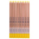 DESIGN Pastel  Pencil LEMON YLW