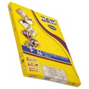 MULTIO PURPOSE LABEL  210*297 XEL-LENT A4