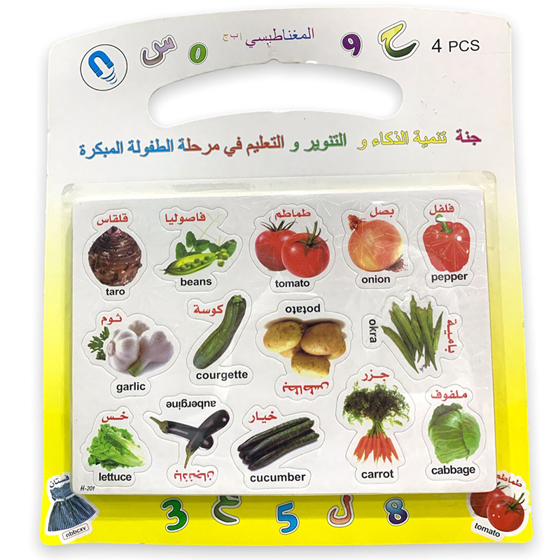 وسيلة تعليمية مغناطيسية