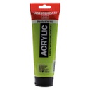 Amsterdam acrylic color  250ML YLWISH GREEN