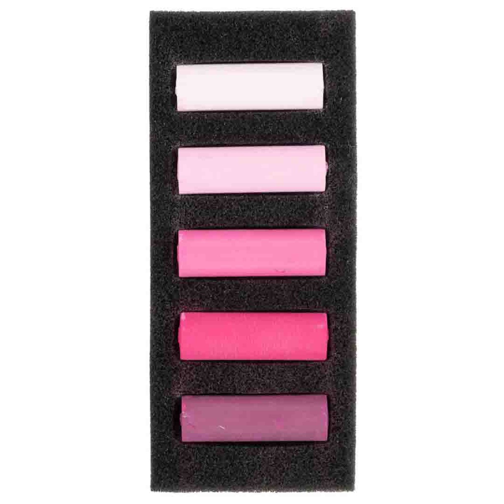 Rembrandt soft pastels  set ROSE VIOLETS 5.5