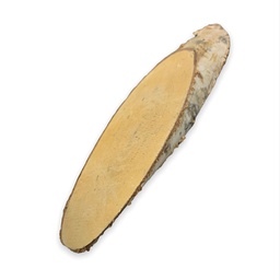 [A2873-1] خشب جذع شجرة A2873-1