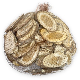 [A2878] خشب جذع شجر للاعمال الفنية BST