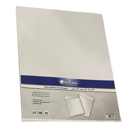 [AS-ER1101713P25] ظرف 17.25*13  25حبة