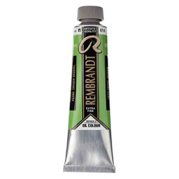 [01056142] Rembrandt oil colour 40ML PERM.GREEN MED