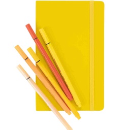 [60299003] Bruynzeel BULLETJOURNAL YLW.13X21