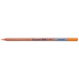 [883516K] DESIGN Water Colour.Pencil .MID ORANGE