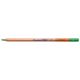 [880566K] DESIGN Colour Pencil GREEN