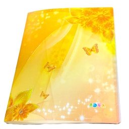 ملف جيوب كرستال 40 جيب